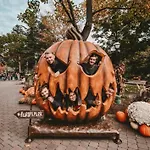 Location Grand Mh Proche Europa Park 4 Personnes *