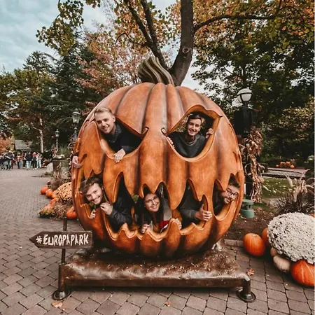 Location Grand Mh Proche Europa Park 4 Personnes *
