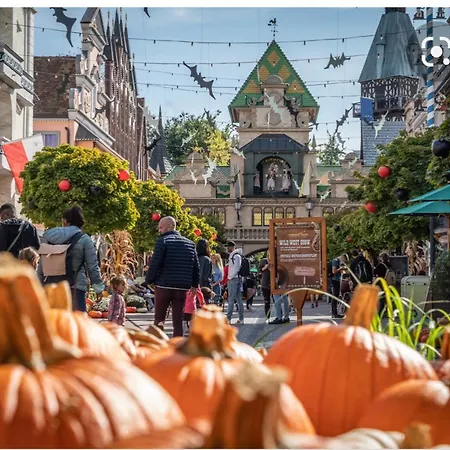 Location Grand Mh Proche Europa Park 4 Personnes Apartmán Boofzheim