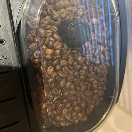 Location Grand Mh Proche Europa Park 4 Personnes Boofzheim