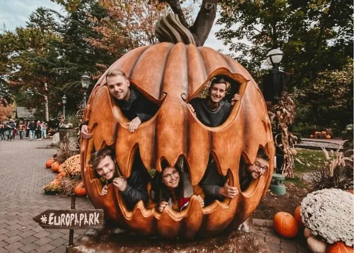 Location Grand Mh Proche Europa Park 4 Personnes *