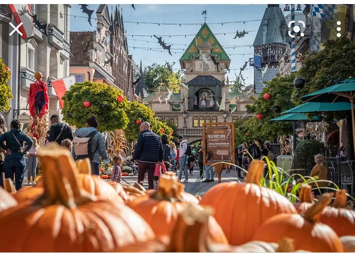 Location Grand Mh Proche Europa Park 4 Personnes Apartment Boofzheim