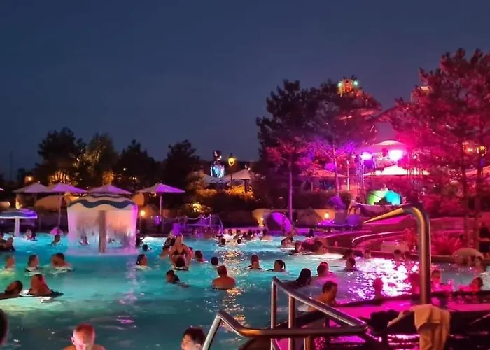 Apartment Location Grand Mh Proche Europa Park 4 Personnes Boofzheim