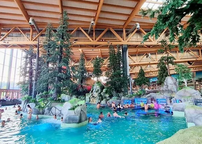 Location Grand Mh Proche Europa Park 4 Personnes * Boofzheim